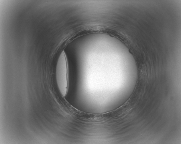 X0000067840739200604130944