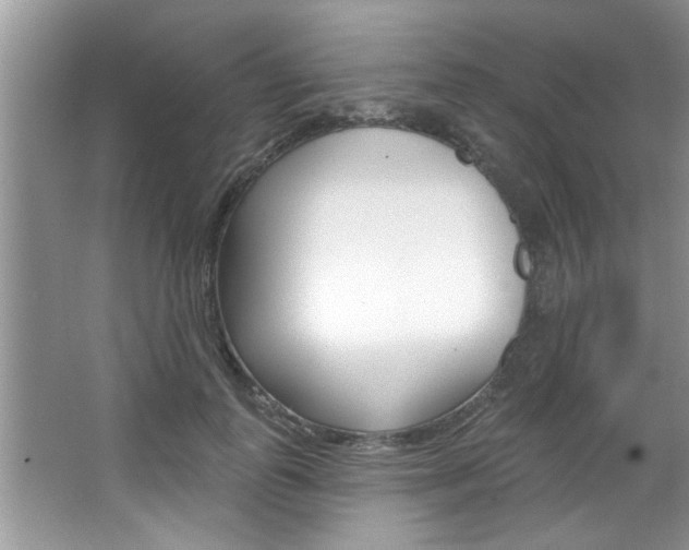 X0000067840747200604130944