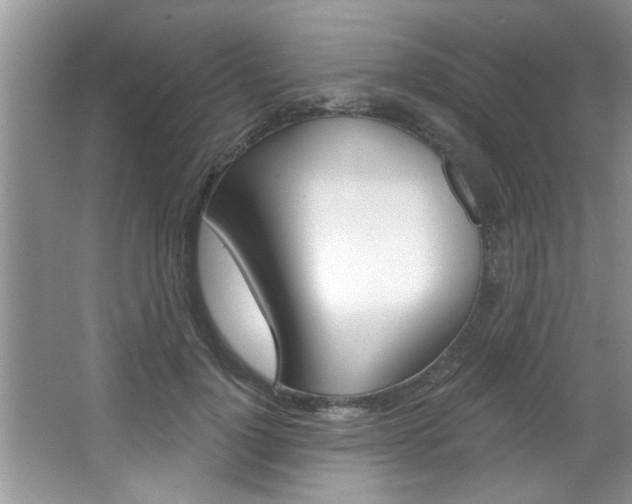 X0000067840748200604130944