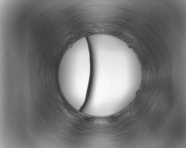 X0000067840749200604130944