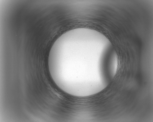 X0000067840750200604130944