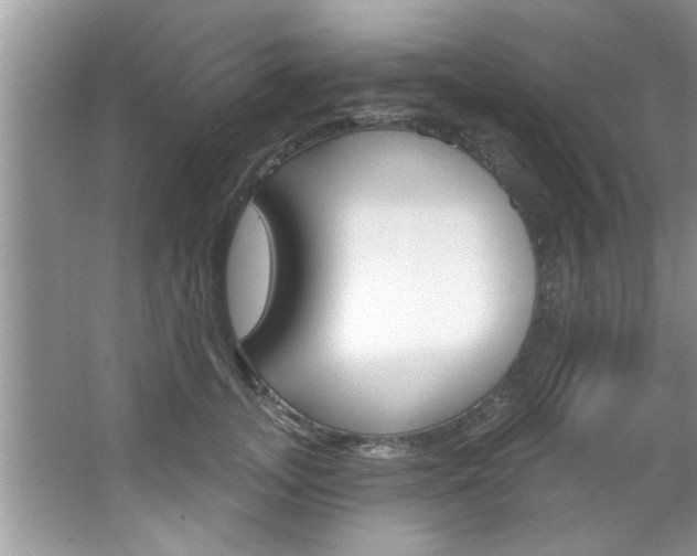 X0000067840755200604130944