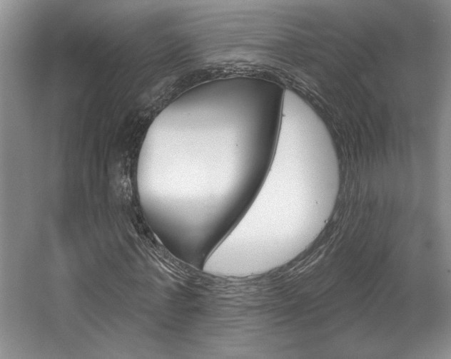 X0000067840771200604130943