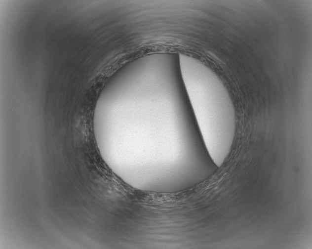X0000067840774200604130943