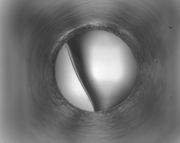 X0000067840776200604130943