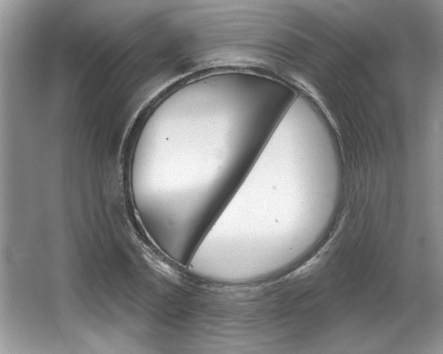 X0000067840779200604130943