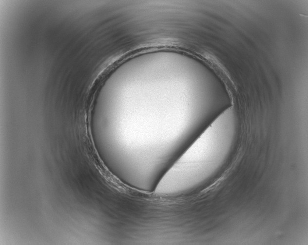 X0000067840781200604130943