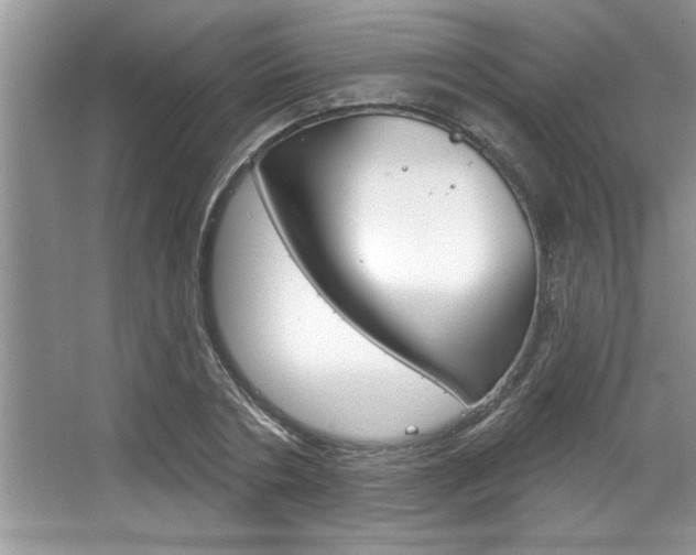 X0000067840786200604130943