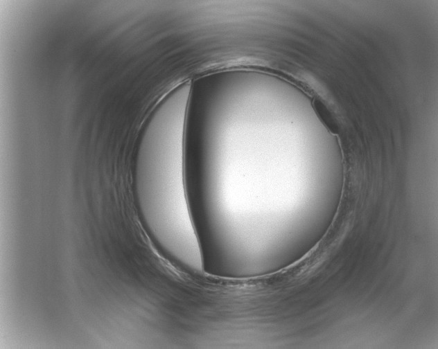X0000067840793200604130943