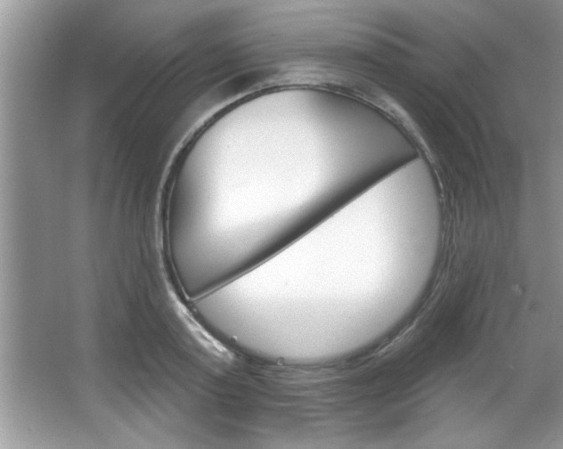 X0000067840795200604130943