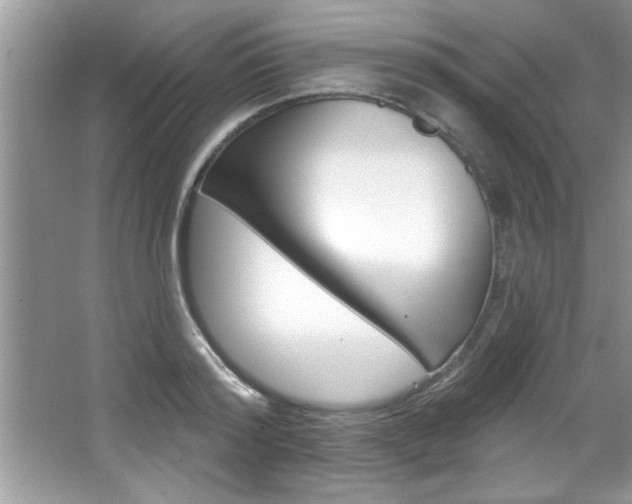 X0000067840796200604130943