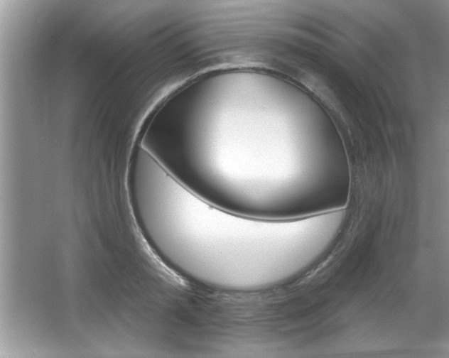 X0000067840797200604130943