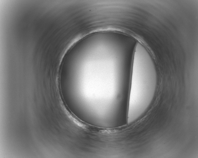 X0000067840805200604130943