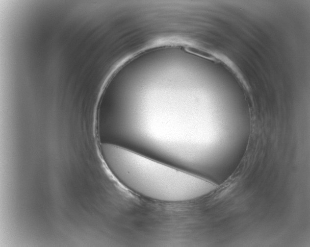 X0000067840815200604130943