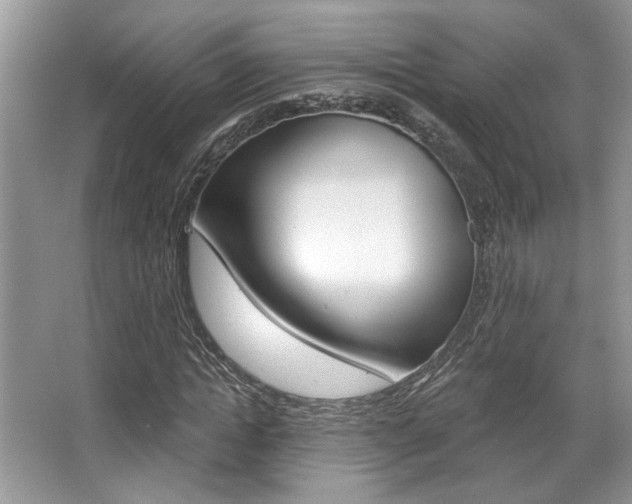 X0000067840822200604130942