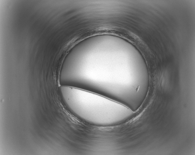 X0000067840825200604130942