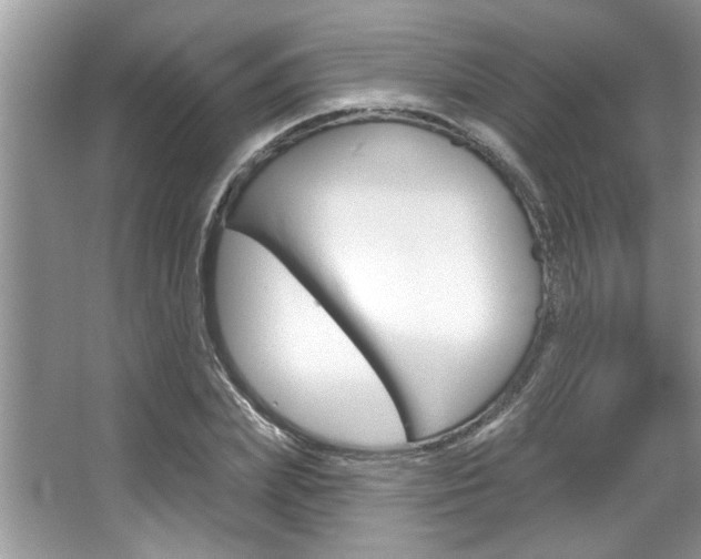 X0000067840831200604130942