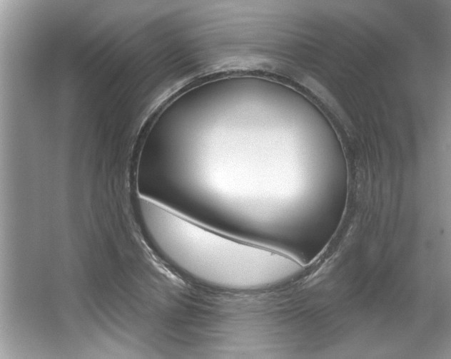 X0000067840834200604130942