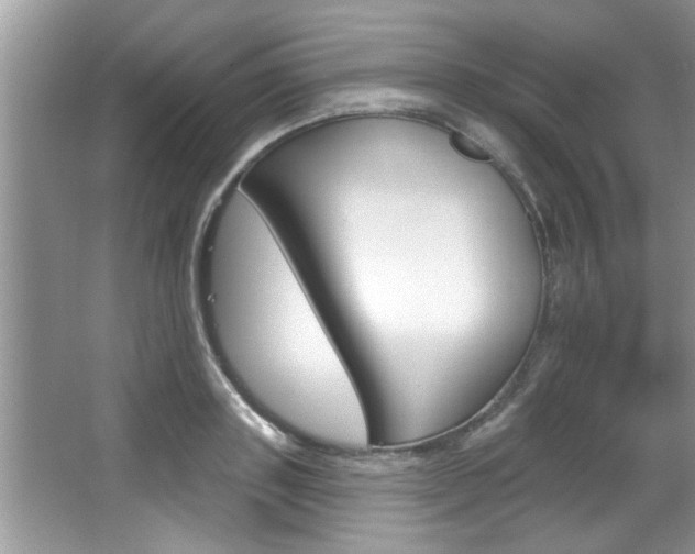 X0000067840843200604130942
