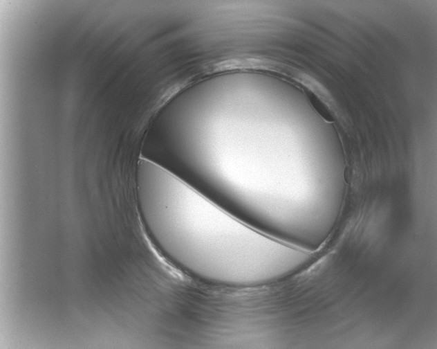 X0000067840849200604130942