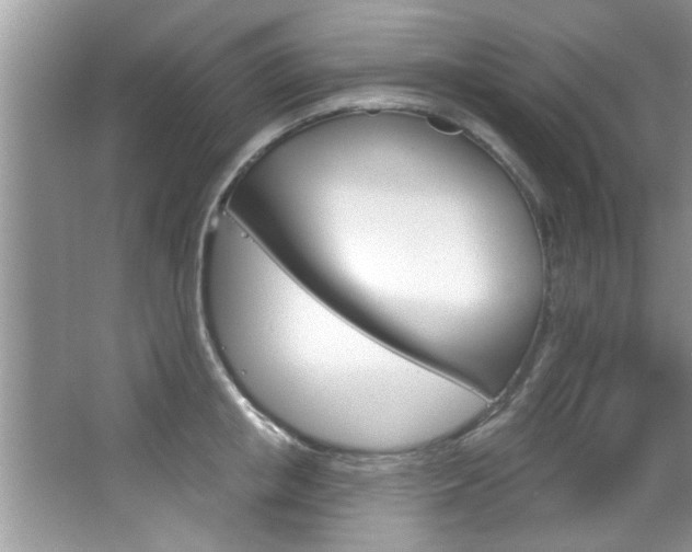 X0000067840853200604130942