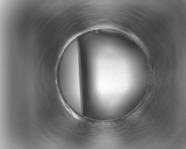 X0000067840862200604130943