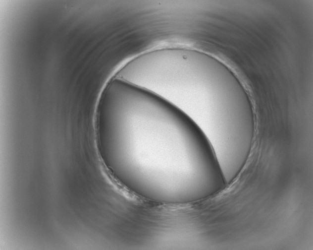 X0000067840864200604130943