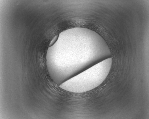 X0000067840866200604130942