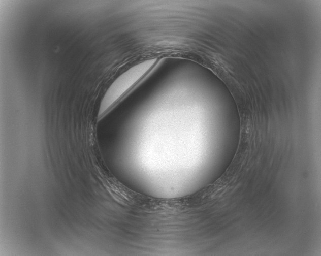 X0000067840868200604130942
