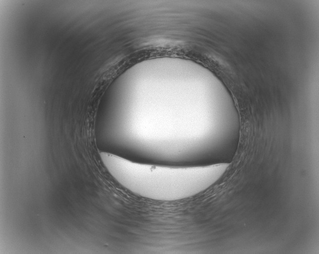X0000067840869200604130942