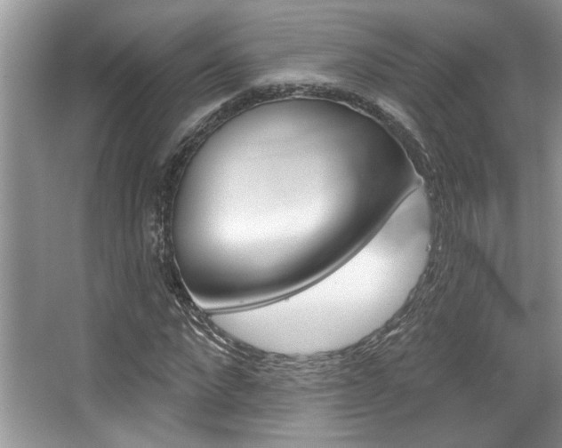 X0000067840872200604130942