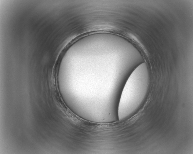 X0000067840883200604130941