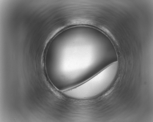 X0000067840885200604130941