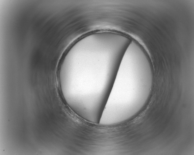 X0000067840887200604130941