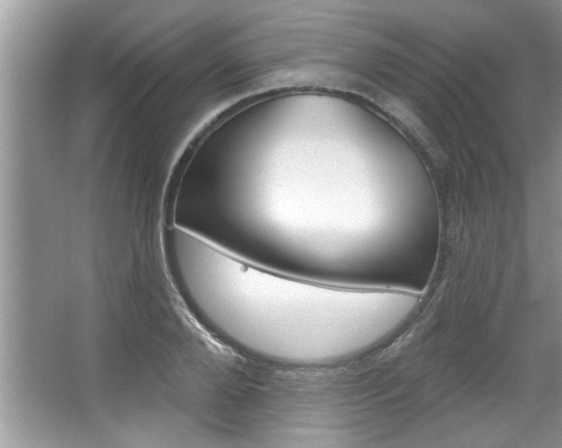 X0000067840888200604130941