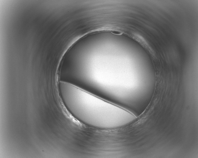 X0000067840900200604130941