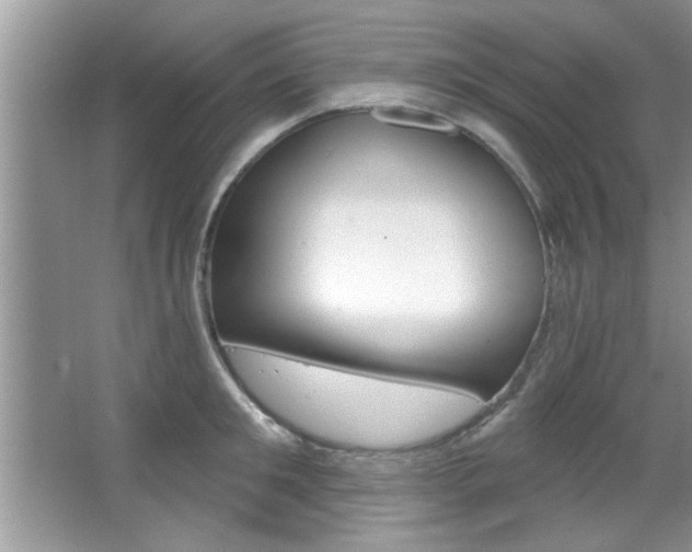 X0000067840901200604130941