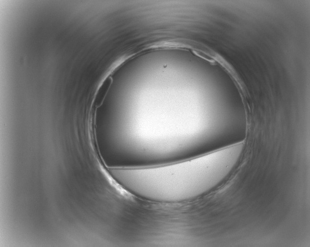 X0000067840909200604130941