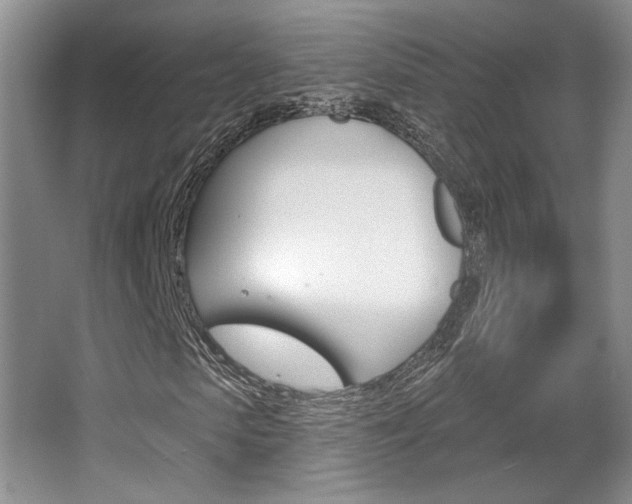 X0000067840913200604130940