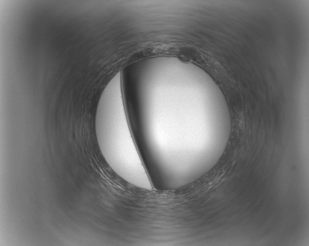 X0000067840914200604130940