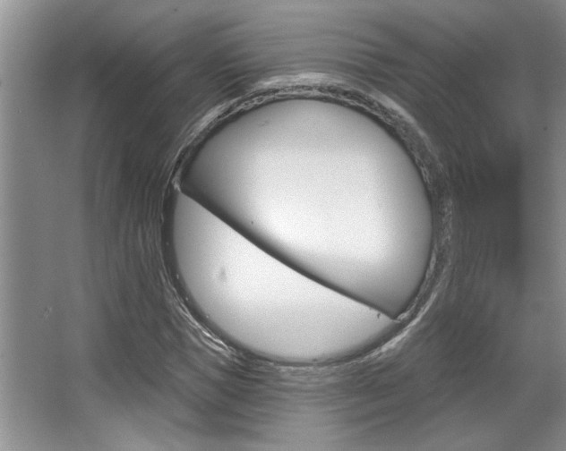 X0000067840921200604130940