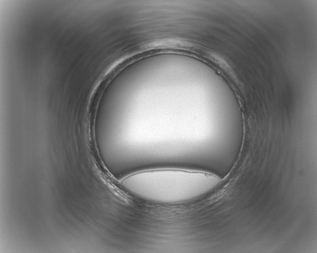 X0000067840931200604130941
