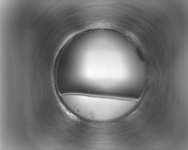 X0000067840942200604130941