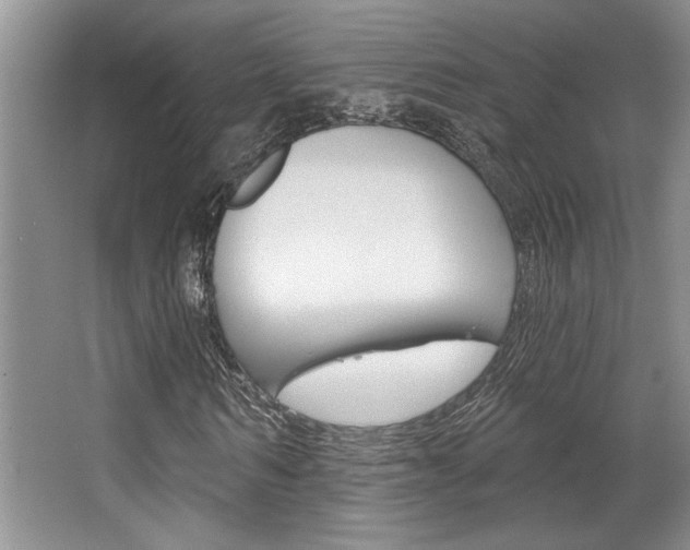 X0000067840962200604130940