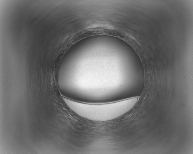 X0000067840965200604130940