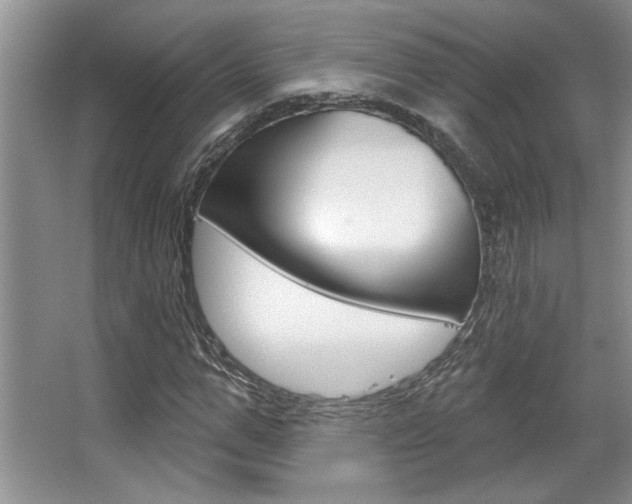 X0000067840967200604130940