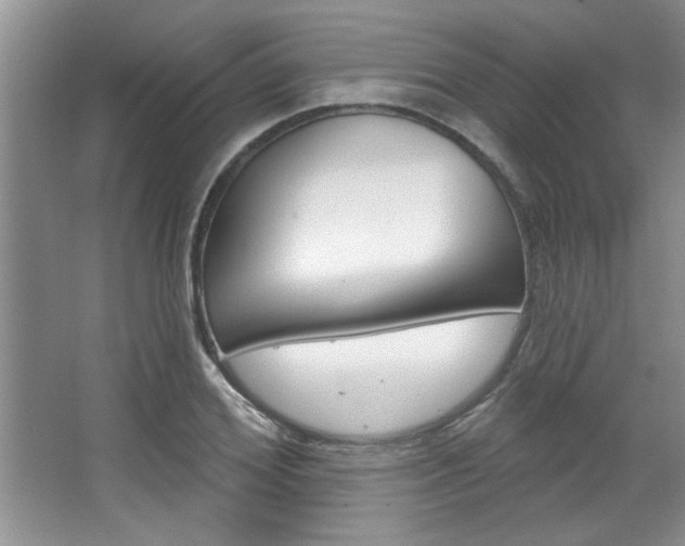 X0000067840980200604130940