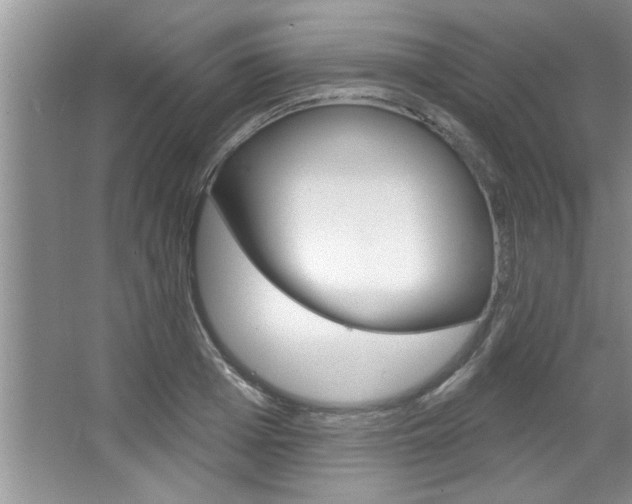 X0000067840985200604130940