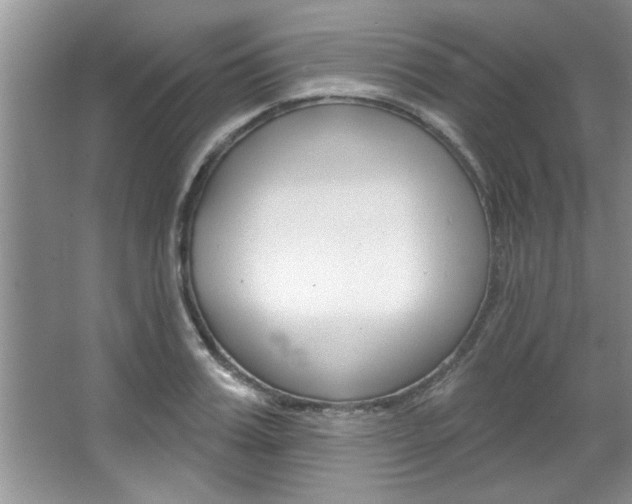 X0000067840987200604130940
