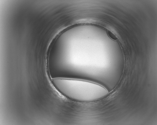 X0000067840992200604130940